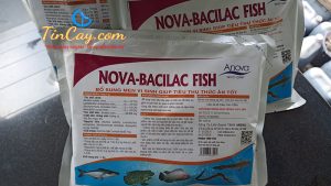 men tieu hoa nova bacilac fish