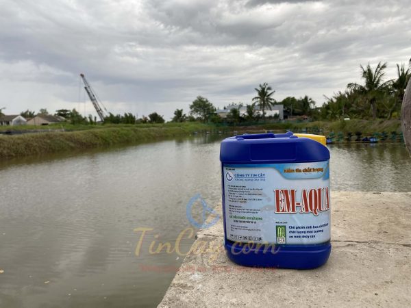 em aqua can 5l 26 08 2022 01