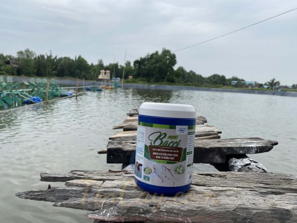 nova bacci 10 11 2022 01