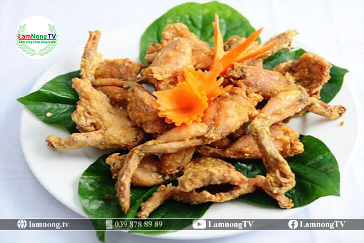 Giá trị kinh tế từ nghề nuôi ếch