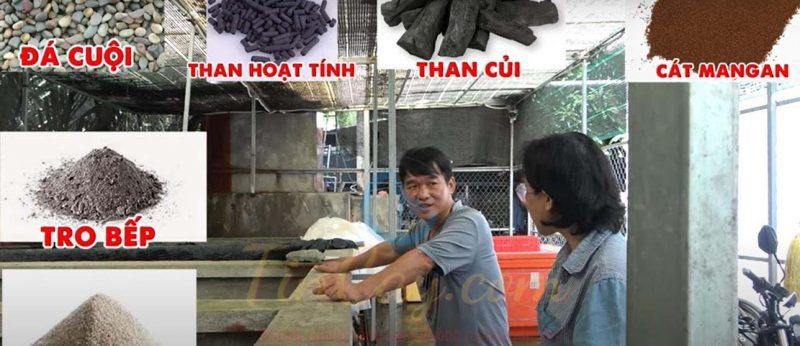 Cách chăm sóc ếch nuôi trong bể xi măng